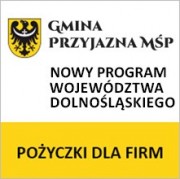 program pożyczki dla firm