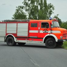  dsc0353