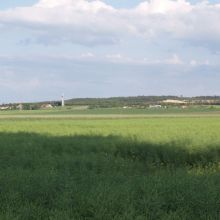 widok