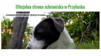 schronisko